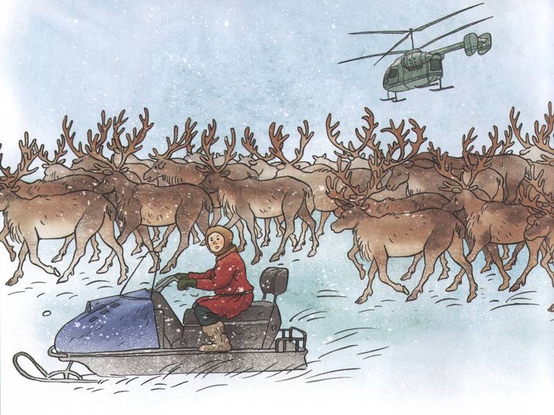 Вот ты какой, северный олень!