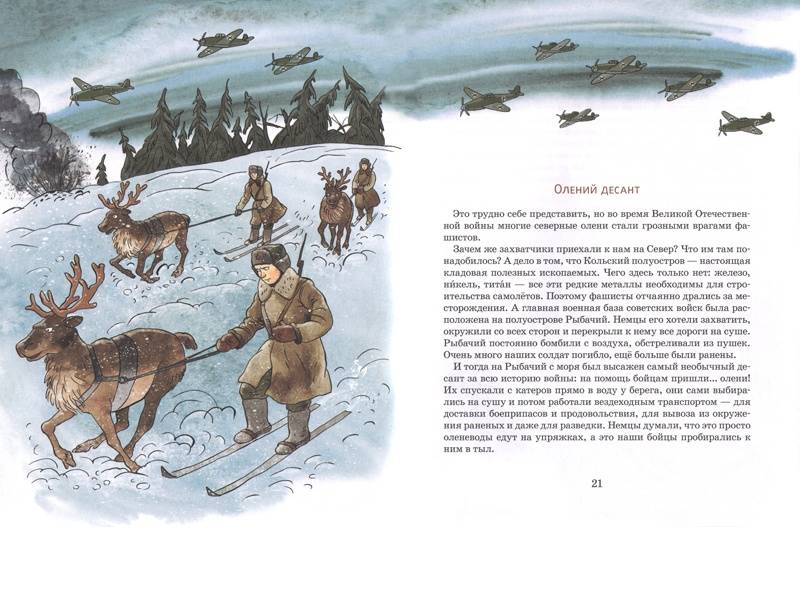 Вот ты какой, северный олень!