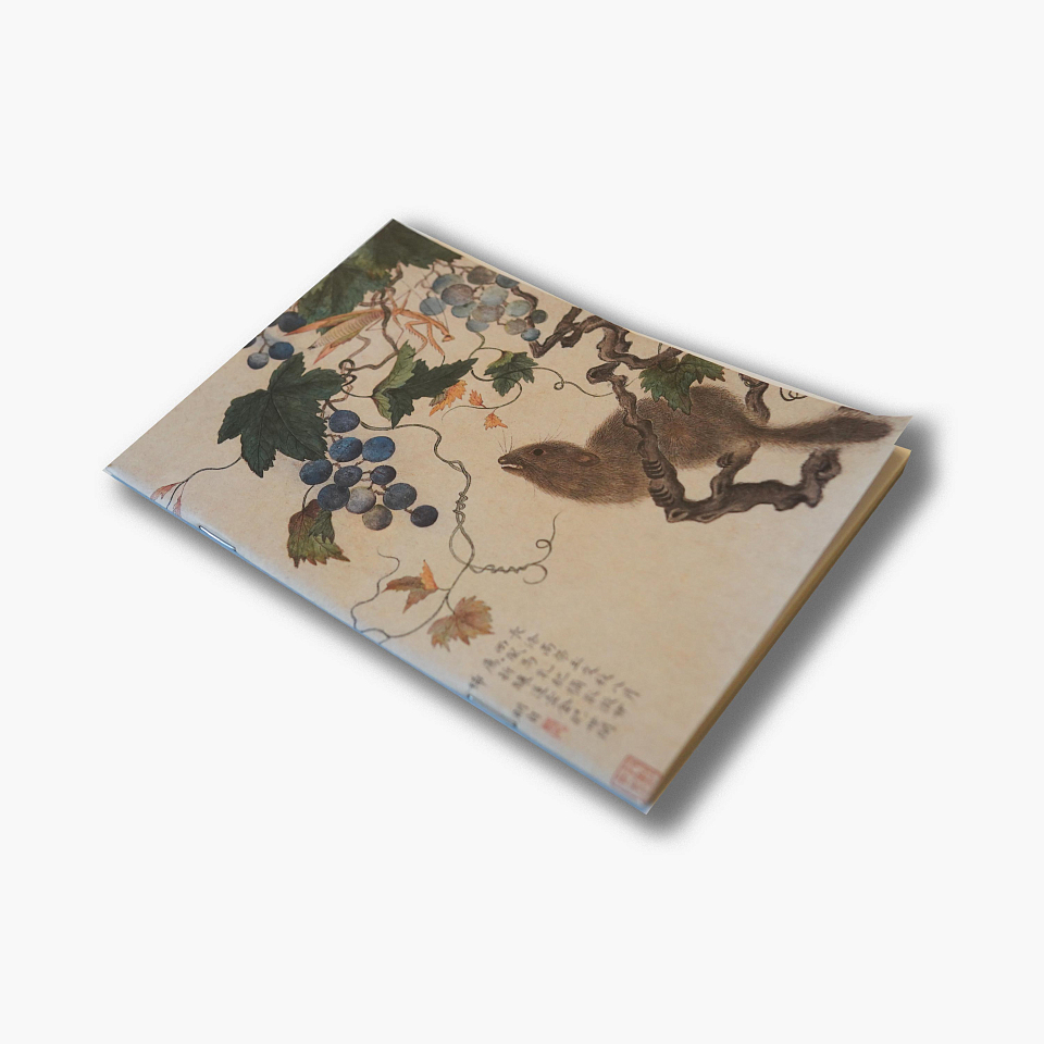 Блокнот. «Белка, виноград, богомолы»