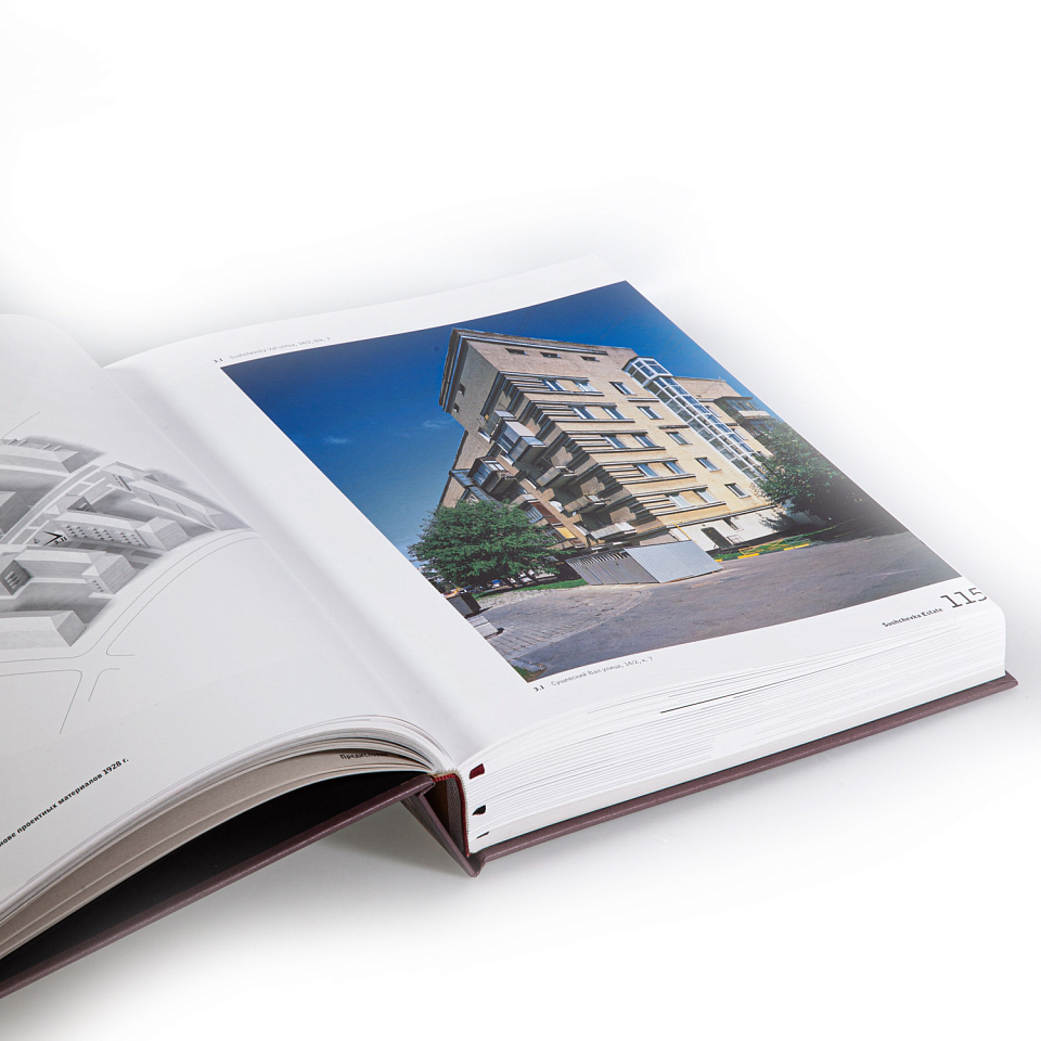 Новые дома. Архитектура жилых комплексов Москвы 1920–1930-х гг.