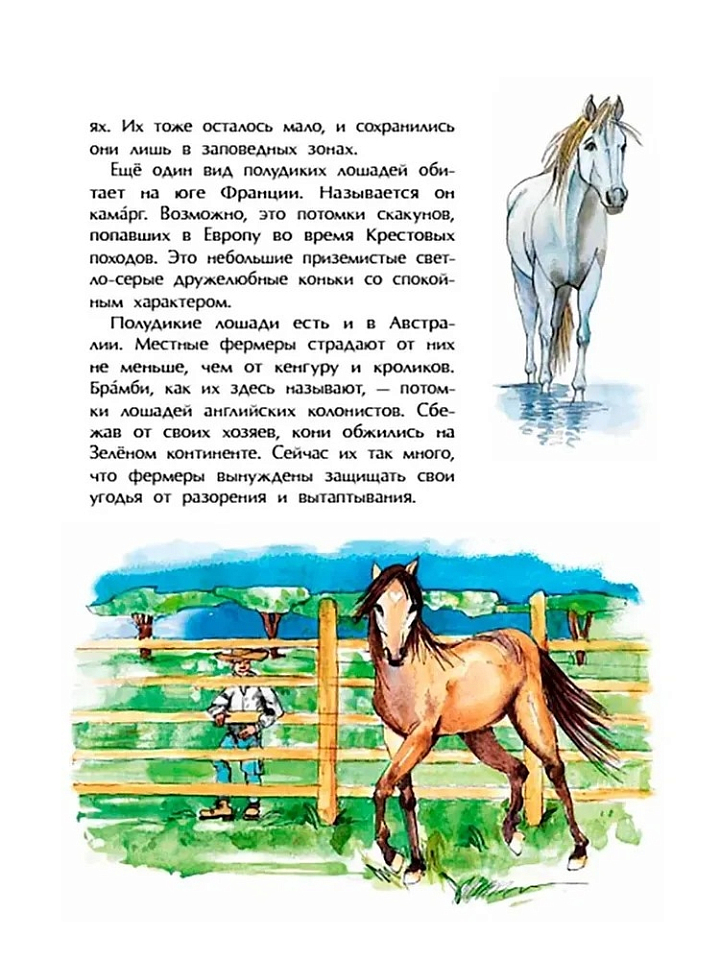 Кони. Дикие, благородные, знаменитые