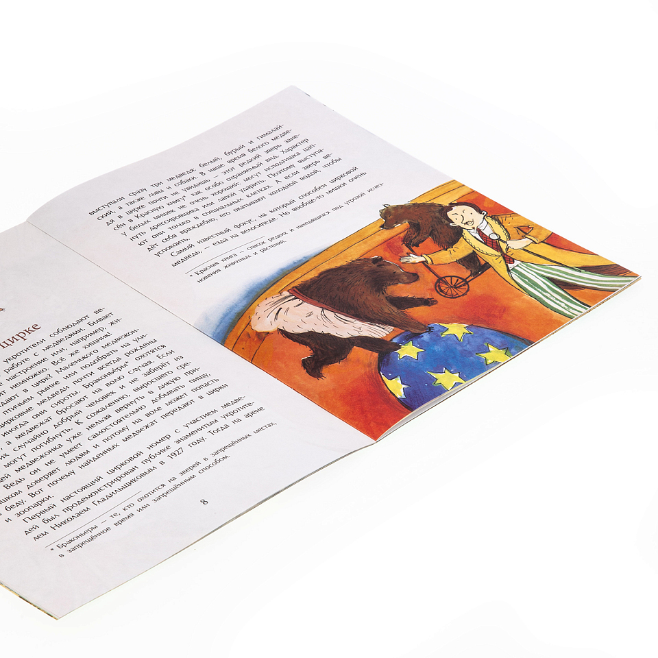 Мишка. Самый русский зверь