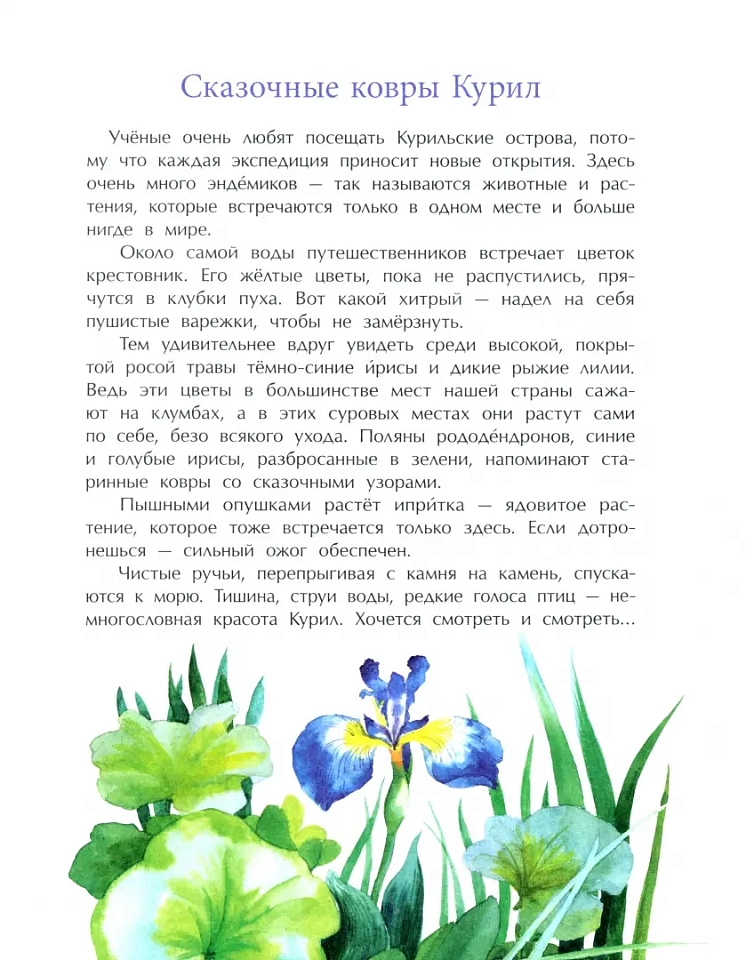 Курилы. Самый край Российской земли