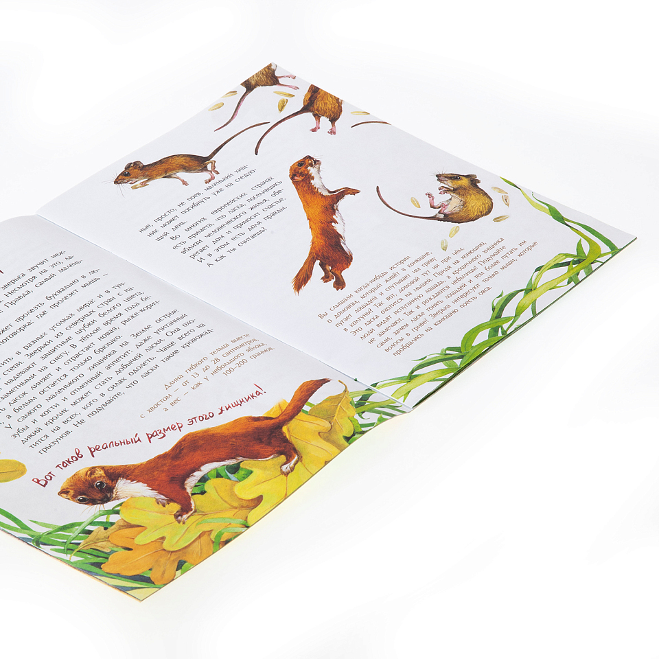 Животные-малютки