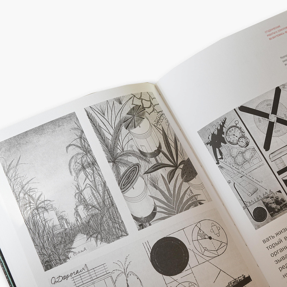 Николай Соколов