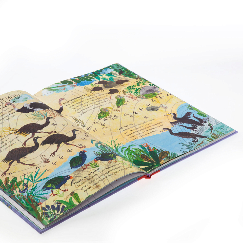 Большая книга птиц