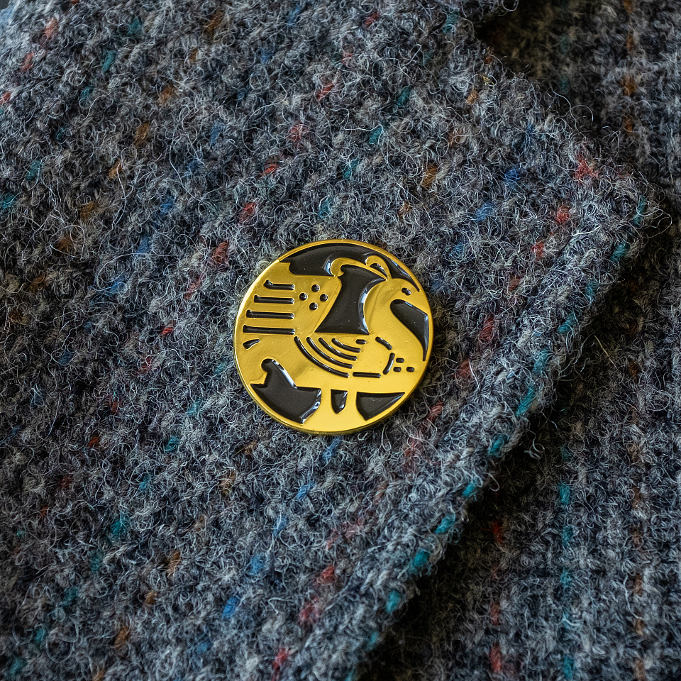 Значок «Дом Станового»