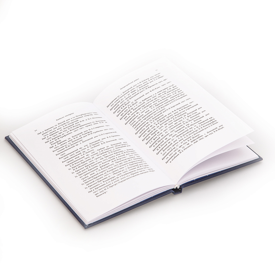 Модерн в застройке Петербурга. Каталог