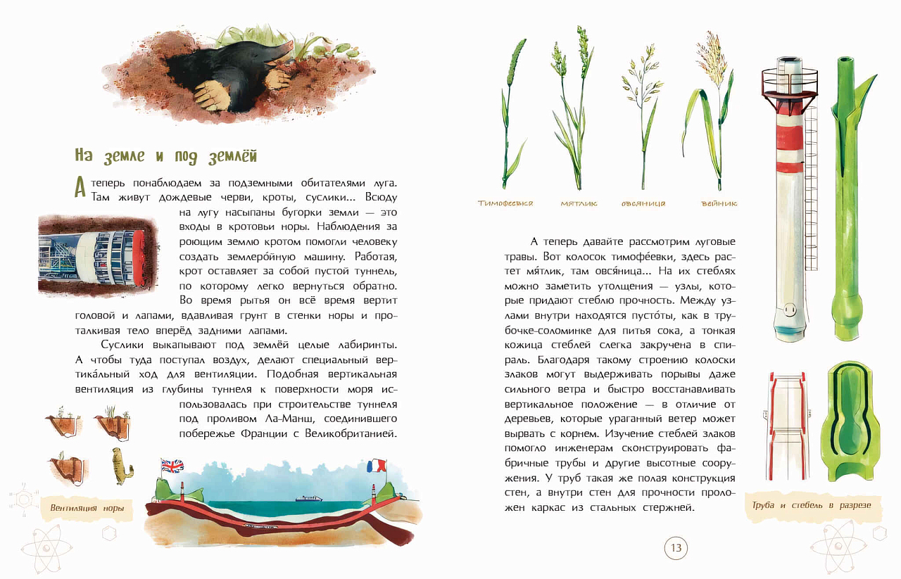 Подсмотрено у природы