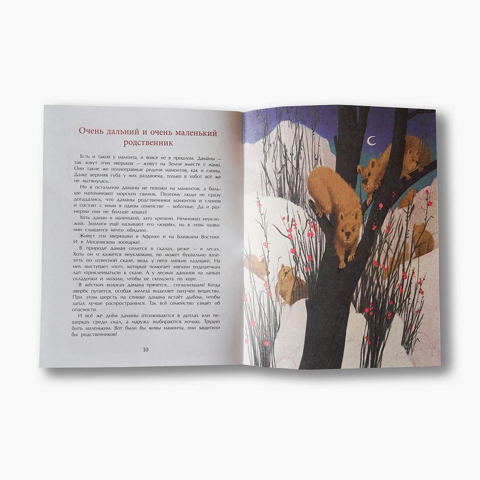 Мамонты. Дима, Женя и другие