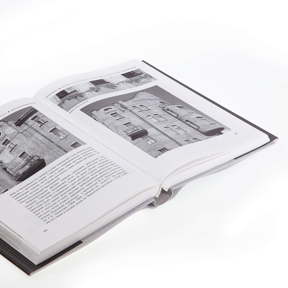 Архитектура петербургского модерна. Особняки и доходные дома