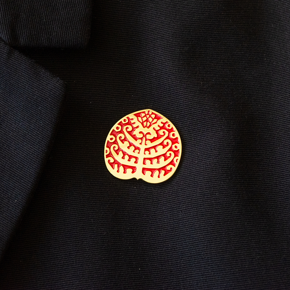 Значок «Дом Захарова»