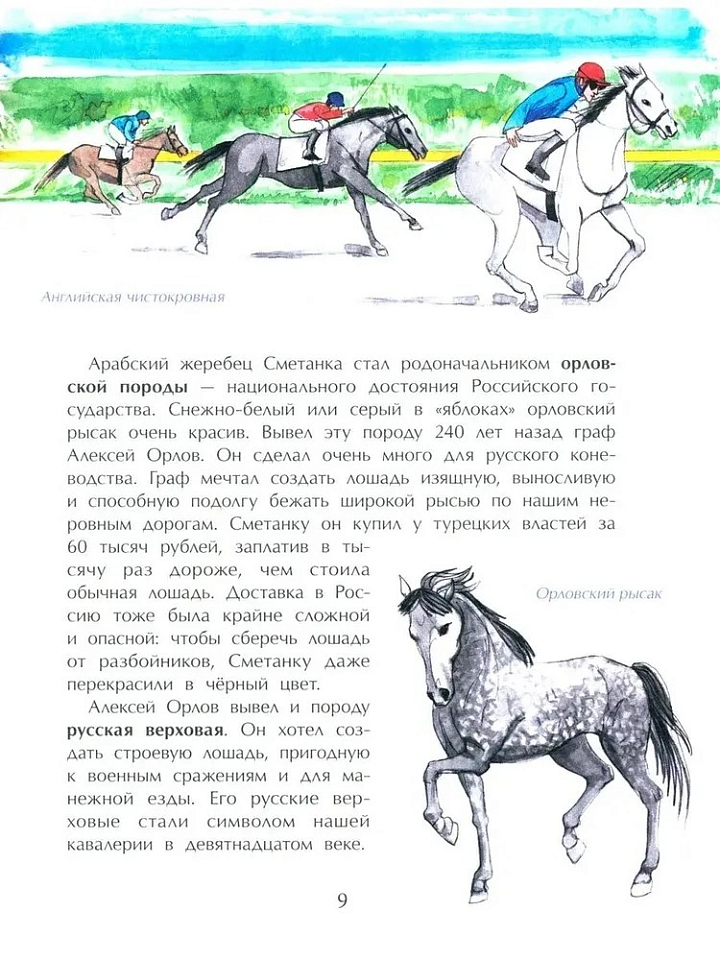 Кони. Дикие, благородные, знаменитые