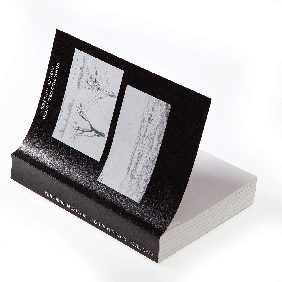 Искусство описания. Голландская живопись