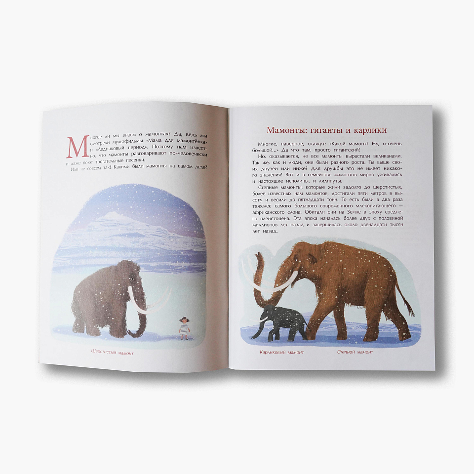 Мамонты. Дима, Женя и другие