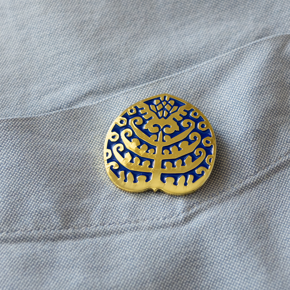 Значок «Дом Захарова»