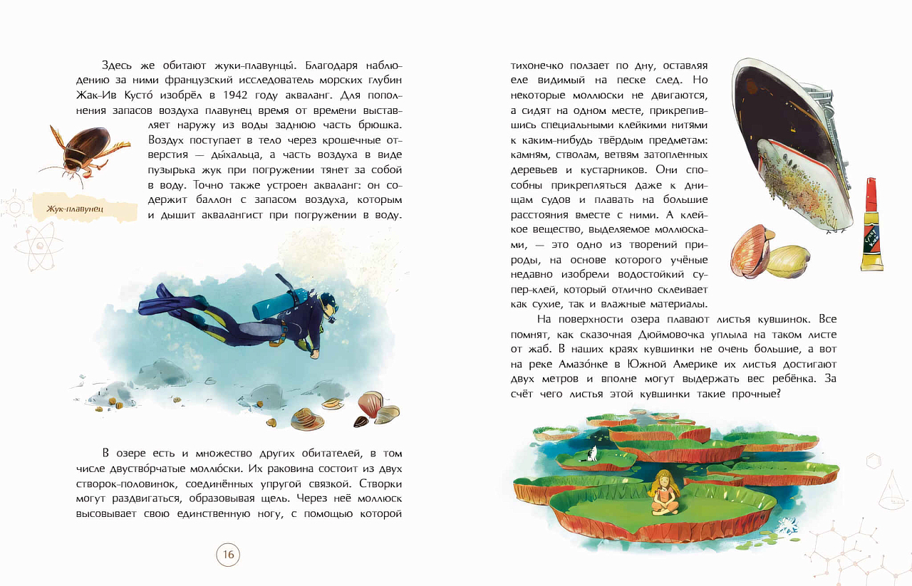 Подсмотрено у природы