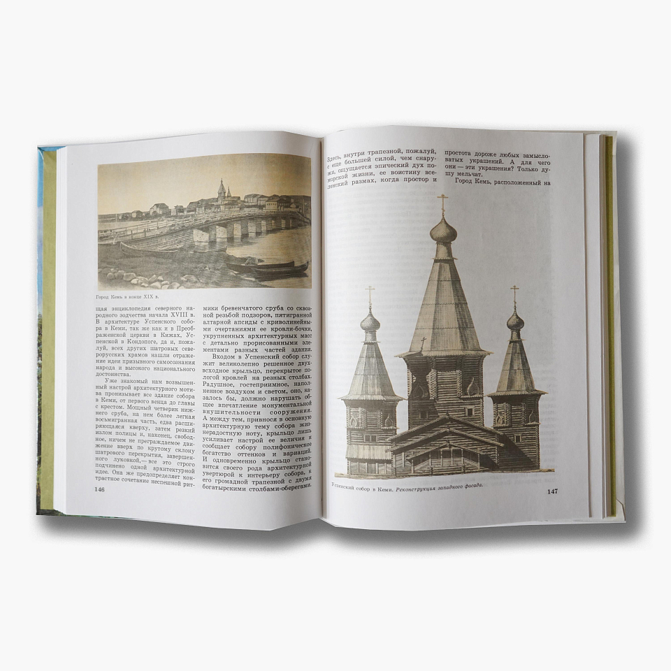 Дерево и гармония