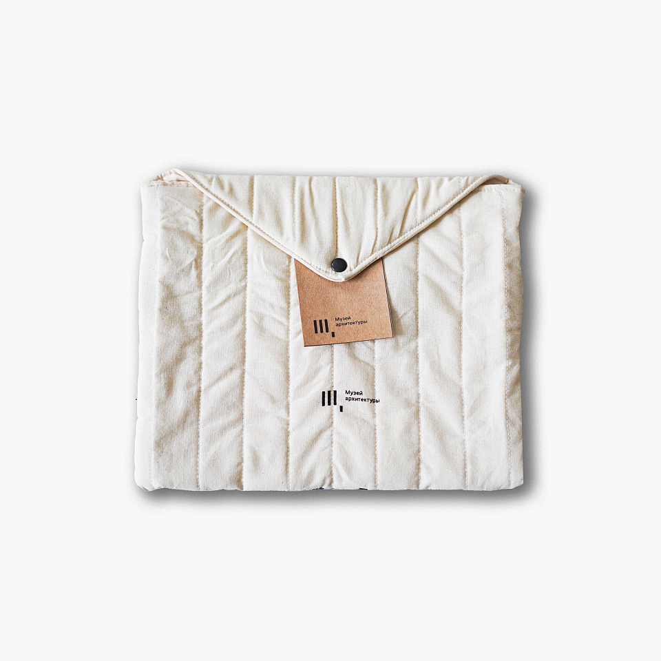 Чехол для ноутбука «Лев. Казанский вокзал»