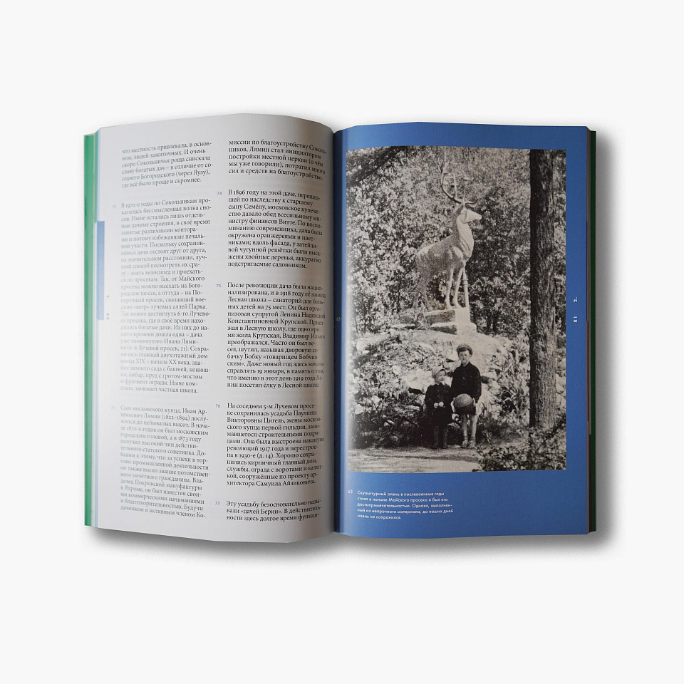 Сокольники. Улицы и просеки исторических воспоминаний