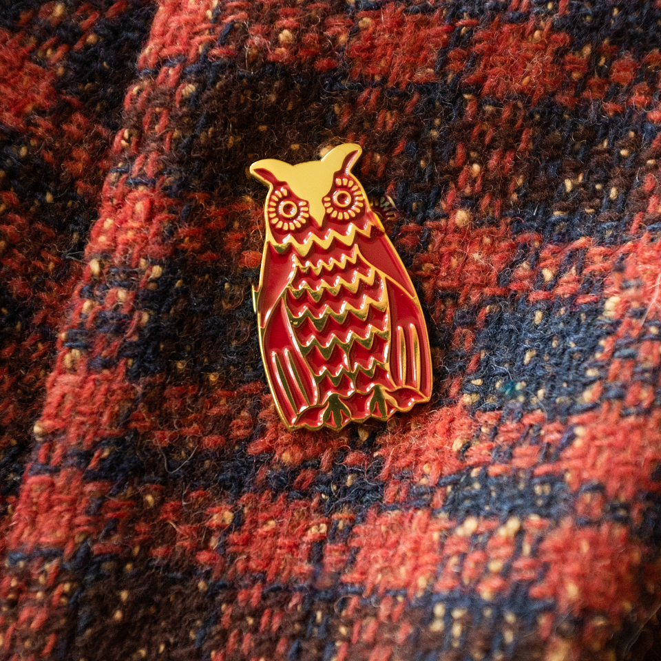 Значок «Дом Барсовой»