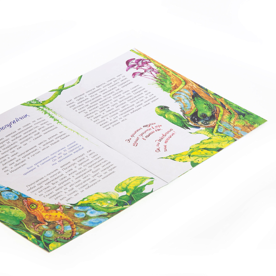 Птички-невелички