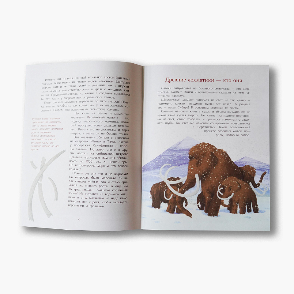 Мамонты. Дима, Женя и другие