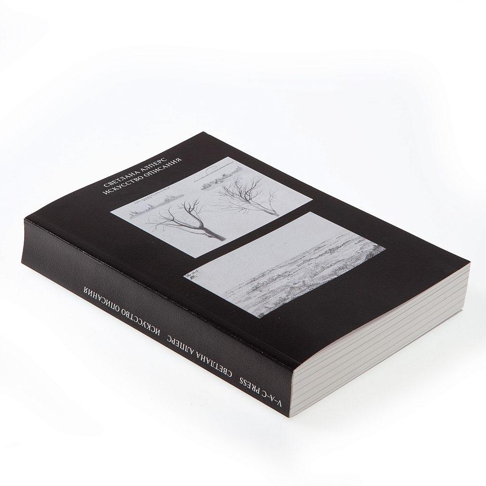 Искусство описания. Голландская живопись