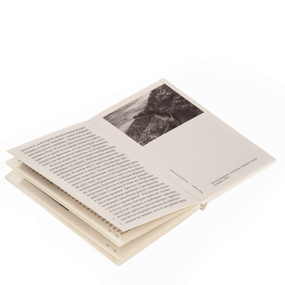 Художник как историк