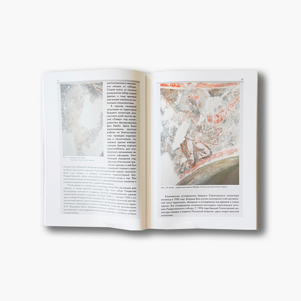 Собор Рождества Богородицы Снетогорского монастыря