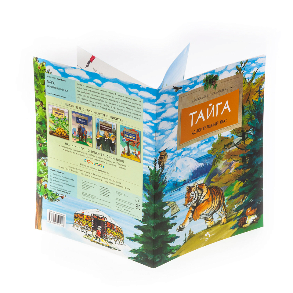 Тайга. Удивительный лес