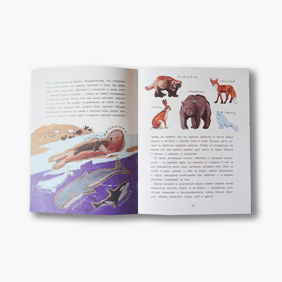 Сахалин. Самый большой остров в России