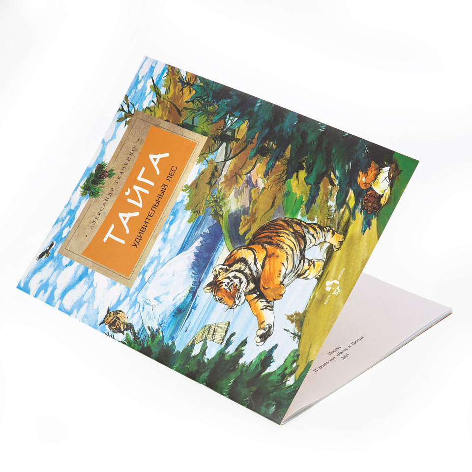 Тайга. Удивительный лес