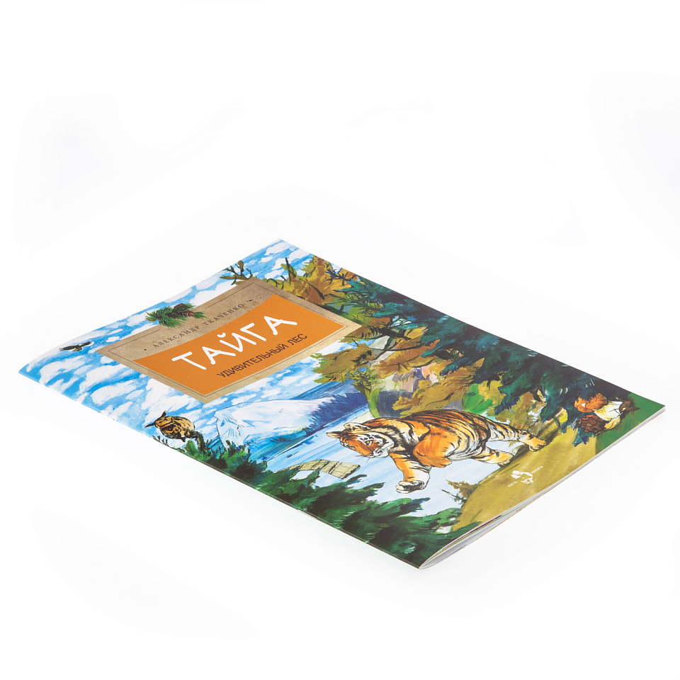 Тайга. Удивительный лес