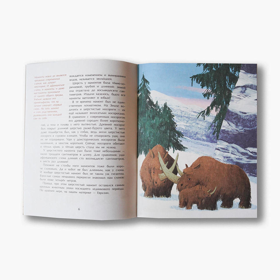 Мамонты. Дима, Женя и другие