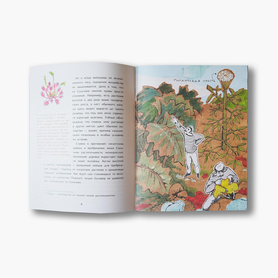 Сахалин. Самый большой остров в России