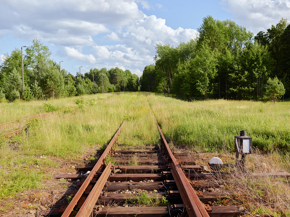 Фотография Егора Заики.  Железнодорожные пути ведущие к лагерю смерти Собибор.  Собибор, Польша 2014