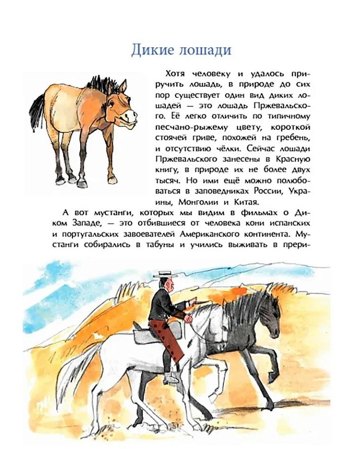 Кони. Дикие, благородные, знаменитые