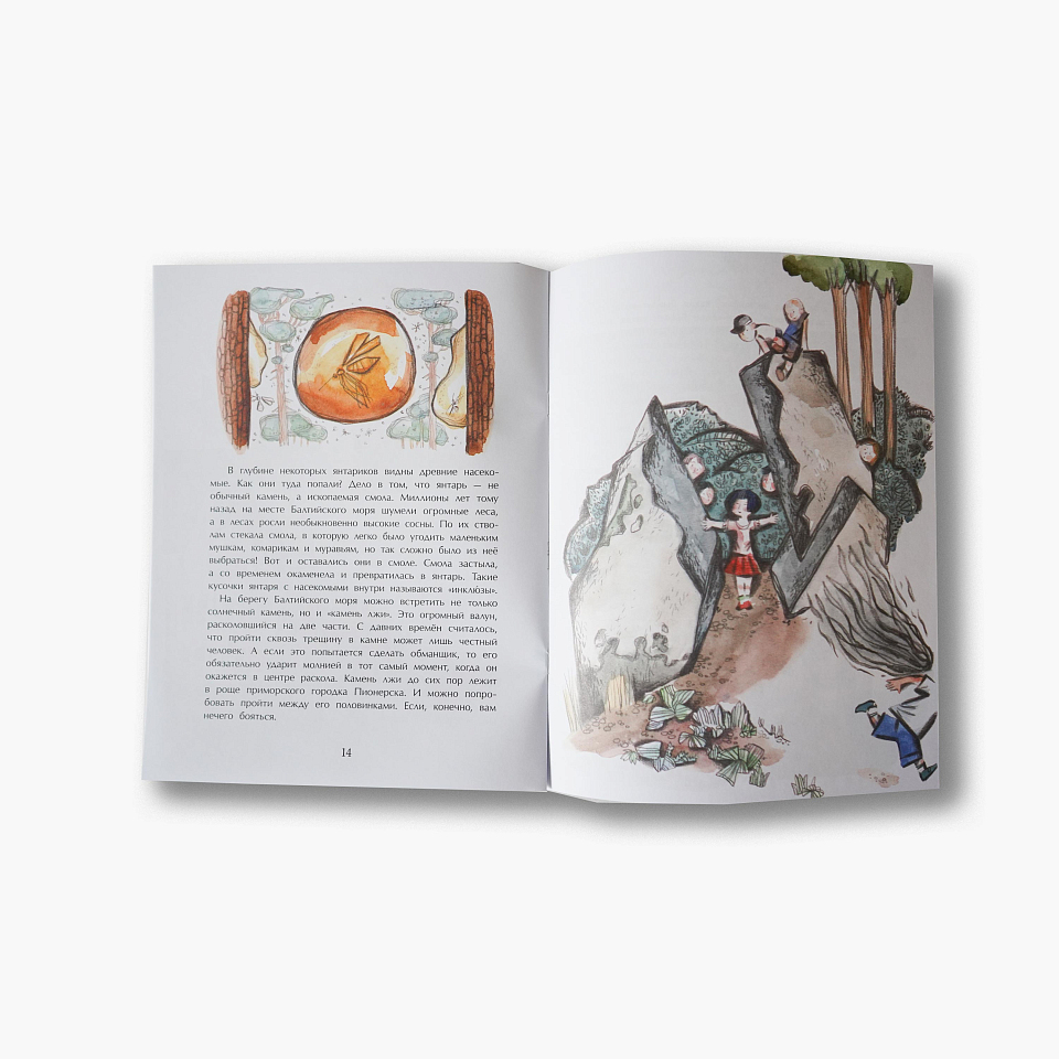 Калининград. Там, где танцует лес